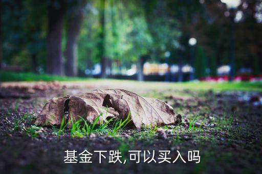  基金下跌,可以買(mǎi)入嗎