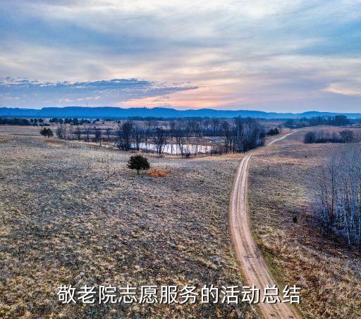 敬老院志愿服務的活動總結(jié)