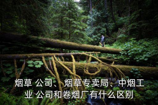  煙草 公司、 煙草專賣局、中煙工業(yè) 公司和卷煙廠有什么區(qū)別