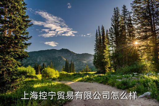 上?？貙庂Q(mào)易有限公司怎么樣