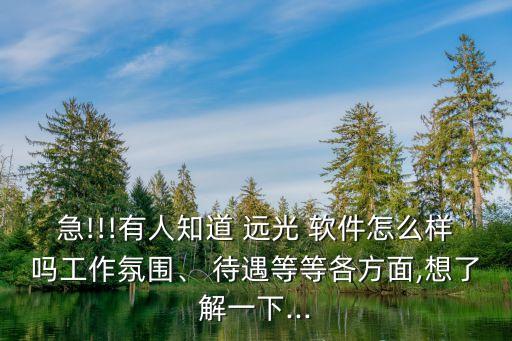 急!!!有人知道 遠(yuǎn)光 軟件怎么樣嗎工作氛圍、 待遇等等各方面,想了解一下...