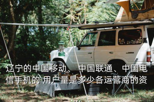 遼寧的中國移動、 中國聯(lián)通、中國電信手機的 用戶量是多少各運營商的資...