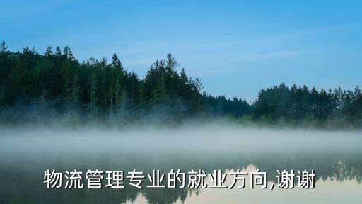 物流管理專(zhuān)業(yè)的就業(yè)方向,謝謝