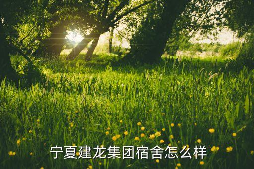 2014中國民營(yíng)企業(yè)500強(qiáng)寧夏,廣東省民營(yíng)企業(yè)500強(qiáng)