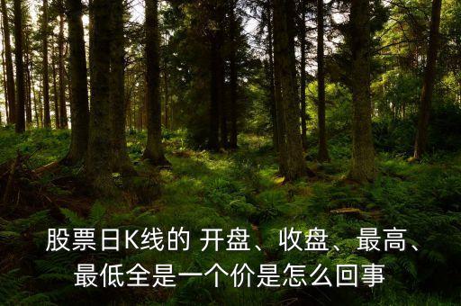  股票日K線的 開盤、收盤、最高、最低全是一個價是怎么回事