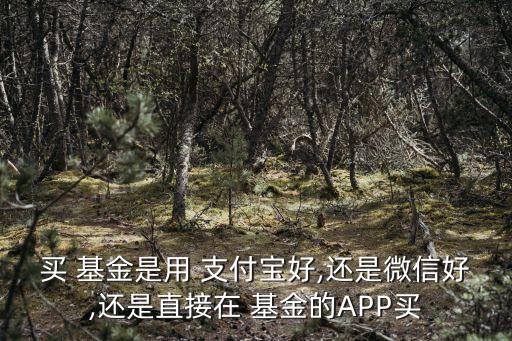 買(mǎi) 基金是用 支付寶好,還是微信好,還是直接在 基金的APP買(mǎi)